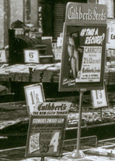 A sign on the seed counter at Woolworth's in 1948 celebrates the customer who grew 2lb 12oz (1.15 kg) of carrots from a single fourpenny packet of R. & G. Cuthbert's seeds.