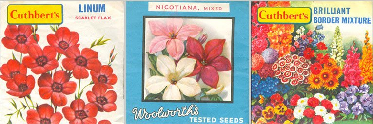 In 1954 the displays boasted a new name alongside the time-served Cuthbert brand. The chain marked seventy-five since its first 5 & 10¢ store had opened in the USA by including Frank W. Woolworth's signature on a special selection of seed varieties