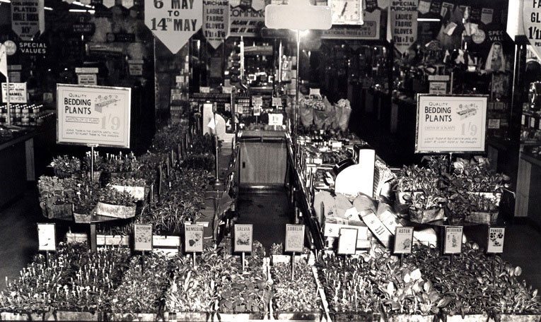 By the 1960s some gardening displays at Woolworth had begun to look old fashioned
