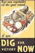 A World War II Dig for Victory poster produced by the Central Office of Information.