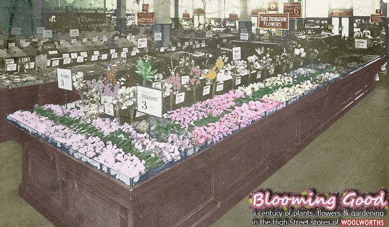 Blooming good - 100 years of flowers, bulbs, seeds and gardening in the High Street stores of F.W. Woolworth